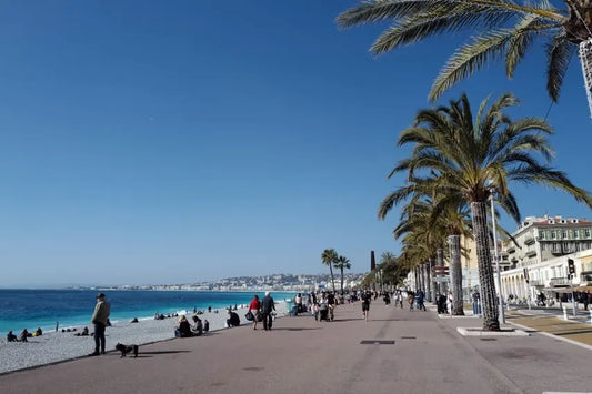 The Mayors of Nice: A Legacy of Leadership in the French Riviera